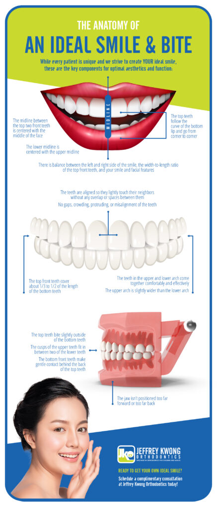 Anatomy of an ideal smile and bite